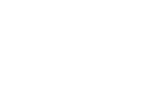 Fjork Merino logo